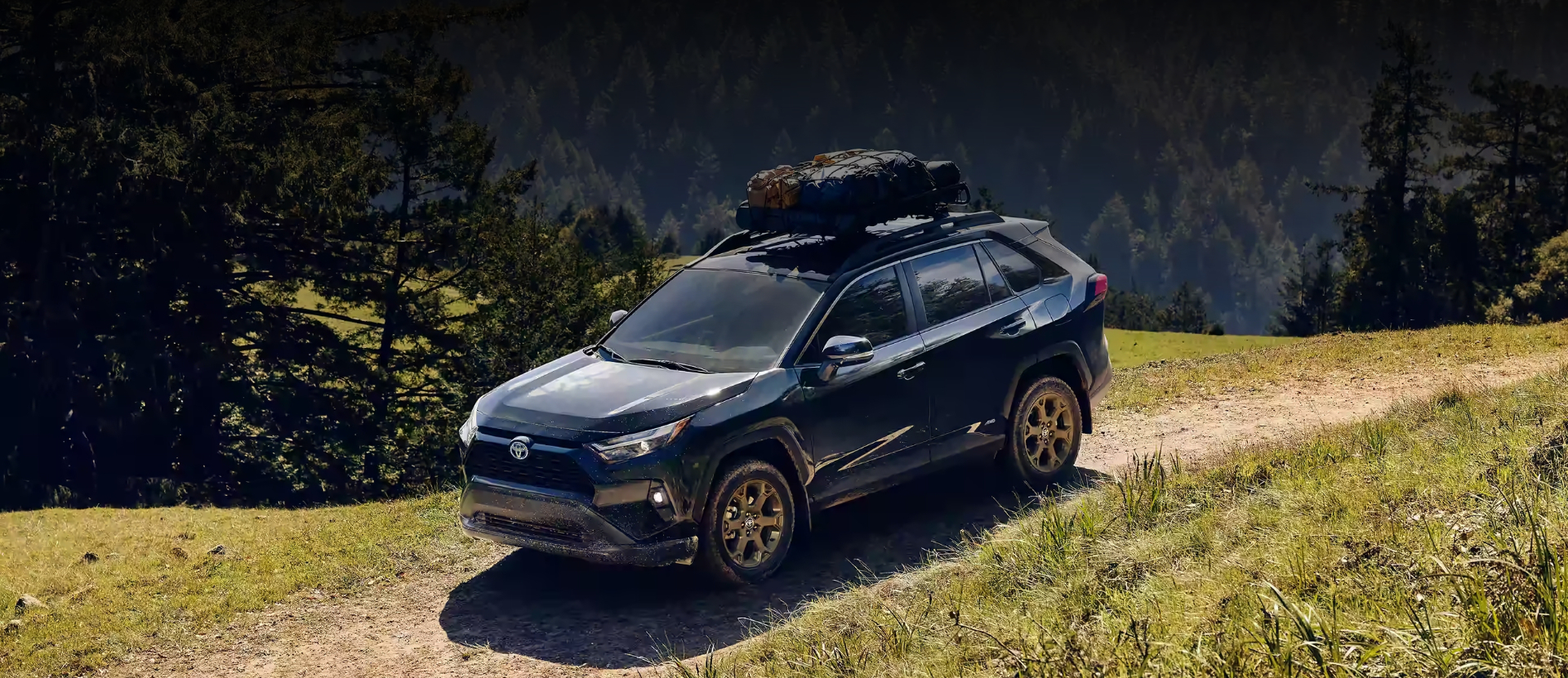  RAV4 Hybrid Woodland Edition shown in Midnight Black Metallic