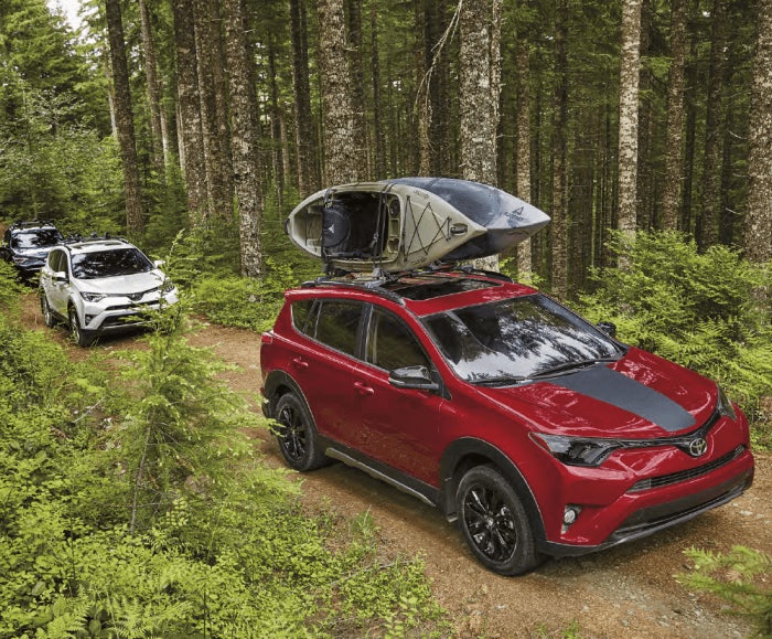 Three RAV4s in Ruby Flare Pearl, Magnetic Gray Metallic, and Blizzard Pearl, drive through a forest trail. The RAV4 Adventure AWD has a kayak on its roof rack.